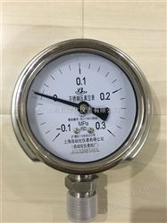 Y-100T徑向帶前邊壓力表 0-0.6Mpa上(shàng)儀四廠(chǎng)