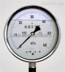 YN-100耐震壓力表，YBF-100不(bù)鏽鋼耐震壓力表