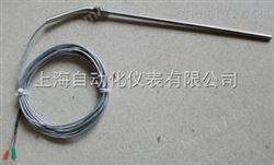 WRNK-132铠裝熱(rè)電(diàn)偶