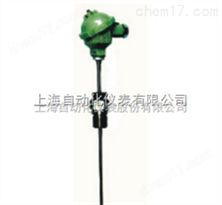 上(shàng)海(hǎi)儀表三廠(chǎng)WRNT2-31雙支軸承熱(rè)電(diàn)偶