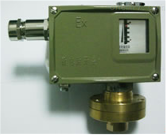D502/7DK 壓力控制(zhì)器(qì)