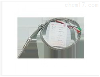 WREK-131铠裝熱(rè)電(diàn)偶