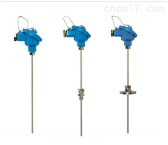 雙偶頭k分(fēn)度号铠裝熱(rè)電(diàn)偶WRNK2