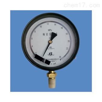 YB-100A精密壓力表