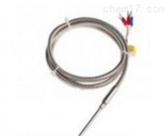 帶金(jīn)屬軟管護套熱(rè)電(diàn)偶