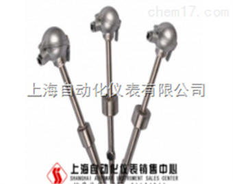 WRNT-01電(diàn)站(zhàn)測溫用(yòng)熱(rè)電(diàn)偶