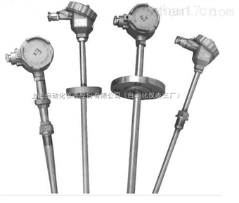 WRN-230NM耐磨熱(rè)電(diàn)偶