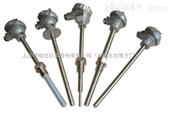 621熱(rè)電(diàn)偶WRN-620A