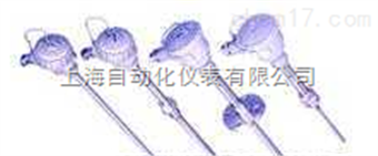 WRE2-120/WRE2120裝配式熱(rè)電(diàn)偶