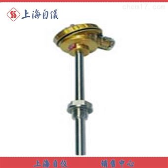 WZP-269插座式熱(rè)電(diàn)阻