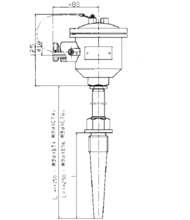 WRE-640A隔爆型本安型熱(rè)電(diàn)偶安裝圖片