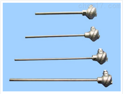 WRNK铠裝式熱(rè)電(diàn)偶