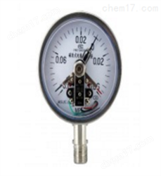 YXC-100B-FZ磁助電(diàn)接點壓