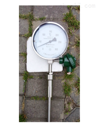 WSSP-411帶熱(rè)電(diàn)阻雙金(jīn)屬溫度計(jì)