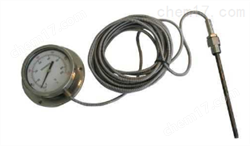 WTY系列全不(bù)鏽鋼液體(tǐ)壓力式溫度計(jì)