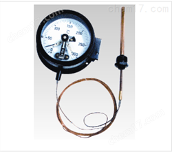 WTZ/WTQ系列壓力式溫度計(jì)