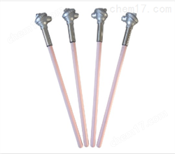 WRR2-131雙支鉑铑熱(rè)電(diàn)偶