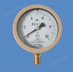 YE-100 膜盒壓力表