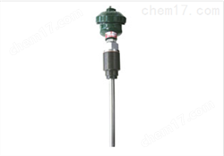 WZPT-316T WZPT-31軸承熱(rè)電(diàn)阻（偶）