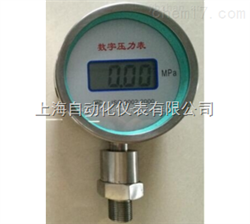 cwy-100數(shù)字精密壓力表