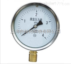 YE-100/150膜盒壓力表,YE-100/150*