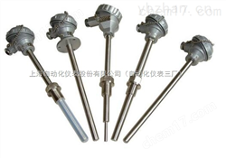 621熱(rè)電(diàn)偶WRN-620A