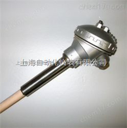 WRP2-121 WRN-122鉑铑熱(rè)電(diàn)偶