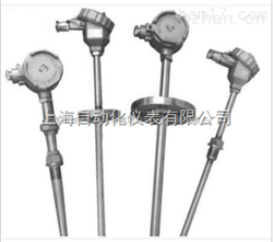 WRN-131裝配式熱(rè)電(diàn)偶WRN2-131