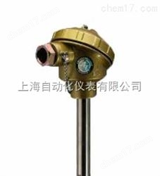 WRN-130-F耐腐熱(rè)電(diàn)偶