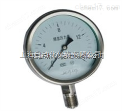 YE-100膜盒壓力表 0-0.1Mpa