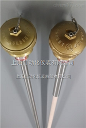 WRR-130裝配式熱(rè)電(diàn)偶上(shàng)自(zì)儀三廠(chǎng)