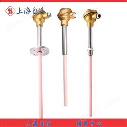 高(gāo)溫貴金(jīn)屬熱(rè)電(diàn)偶