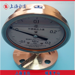 Y-100BF/MF不(bù)鏽鋼隔膜壓力表