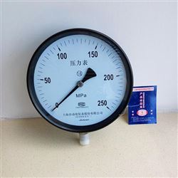 Y200*250MPA普通(tōng)高(gāo)壓表