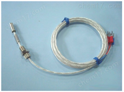 端面鉑電(diàn)阻WZPM-201