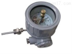WSSX-B系列隔爆雙金(jīn)屬溫度計(jì)上(shàng)海(hǎi)自(zì)動化(huà)儀表三廠(chǎng)