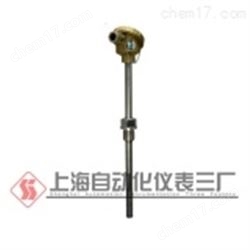 WRN-230裝配式熱(rè)電(diàn)偶