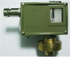 D502/7DK 壓力控制(zhì)器(qì)