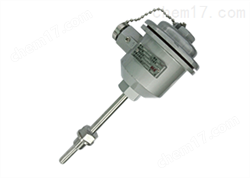 WRN-240隔爆型本安型熱(rè)電(diàn)偶